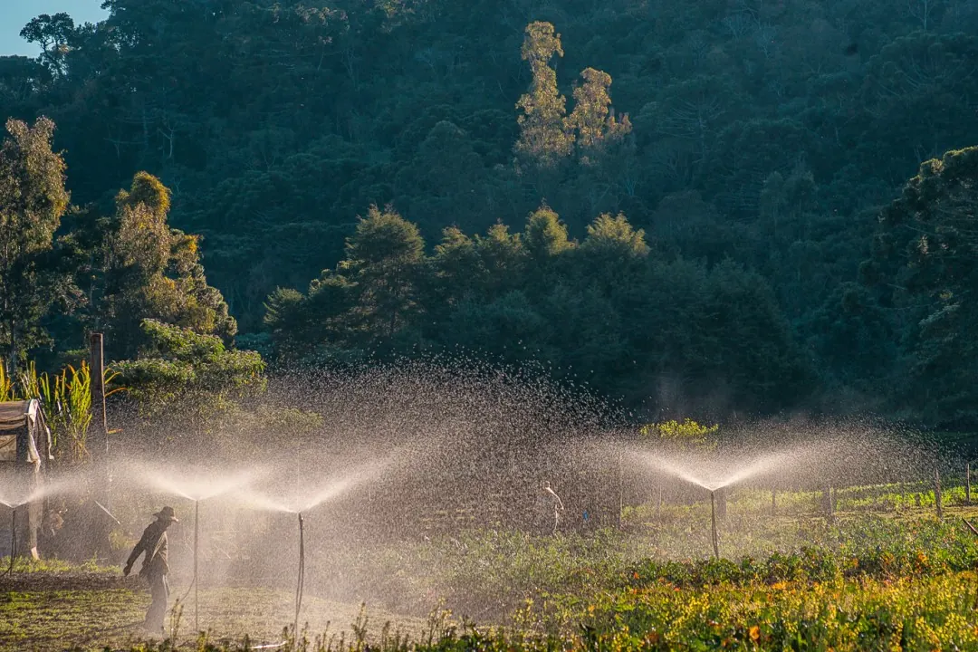 Paisagem agrícola fotografada por Vicente Sampaio