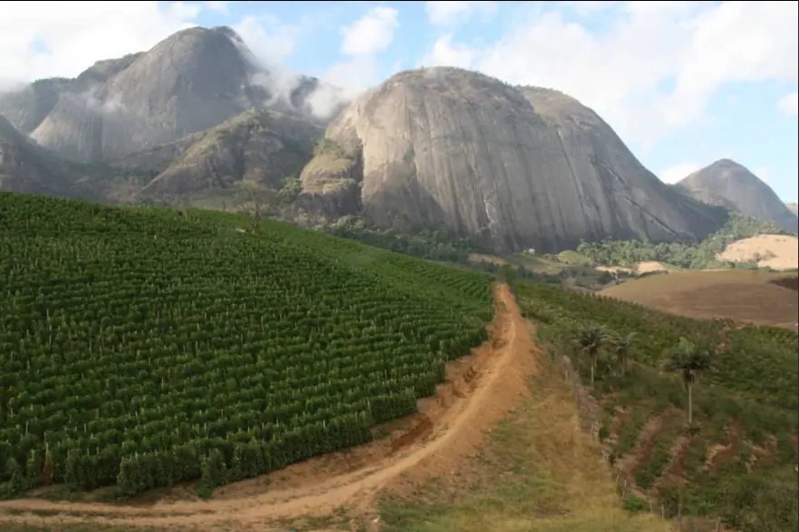 Lavouras na região serrana do Espírito Santo