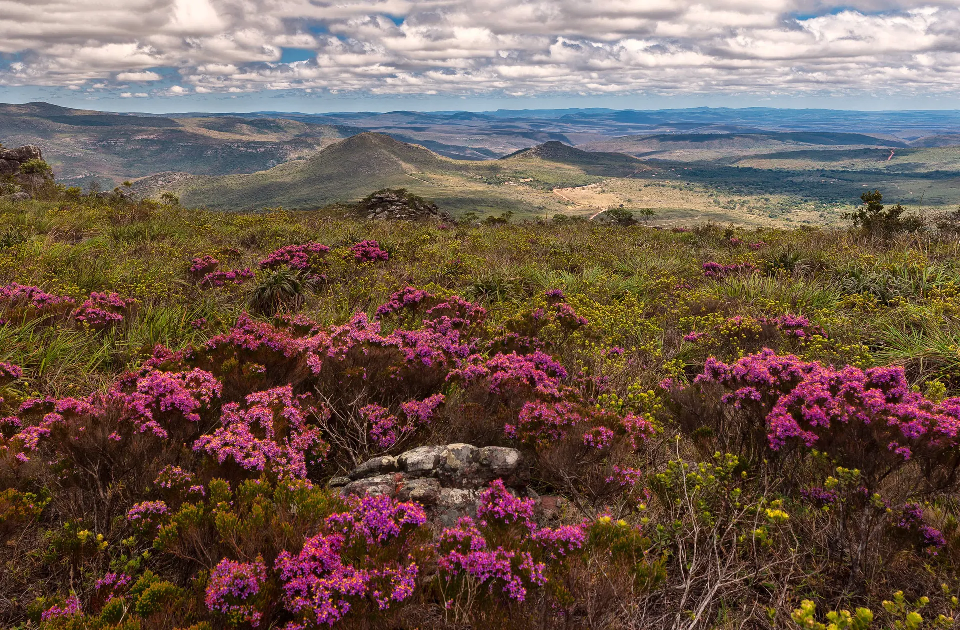 Campo florido com serras ao fundo no Vale do Capão, Bahia